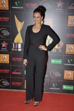 Sonakshi Sinha at The Renault Star Guild Awards Ceremony in NSCI, Mumbai on 16th Jan 2014
